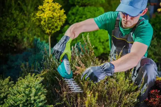 landscaping services Harvard